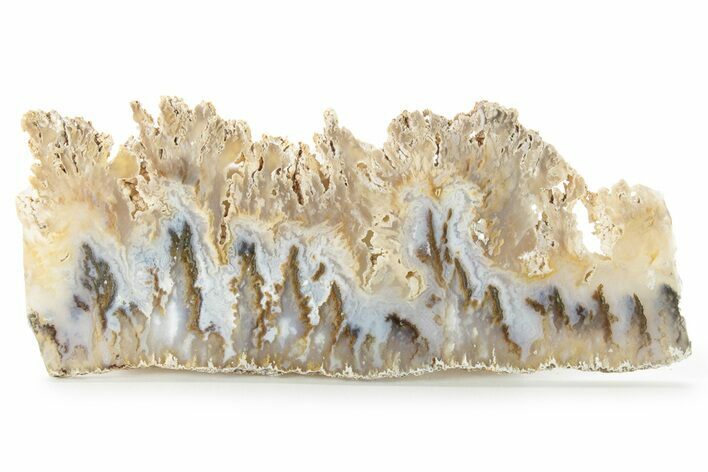 Graveyard Plume Agate Slab - Eastern Oregon #227989